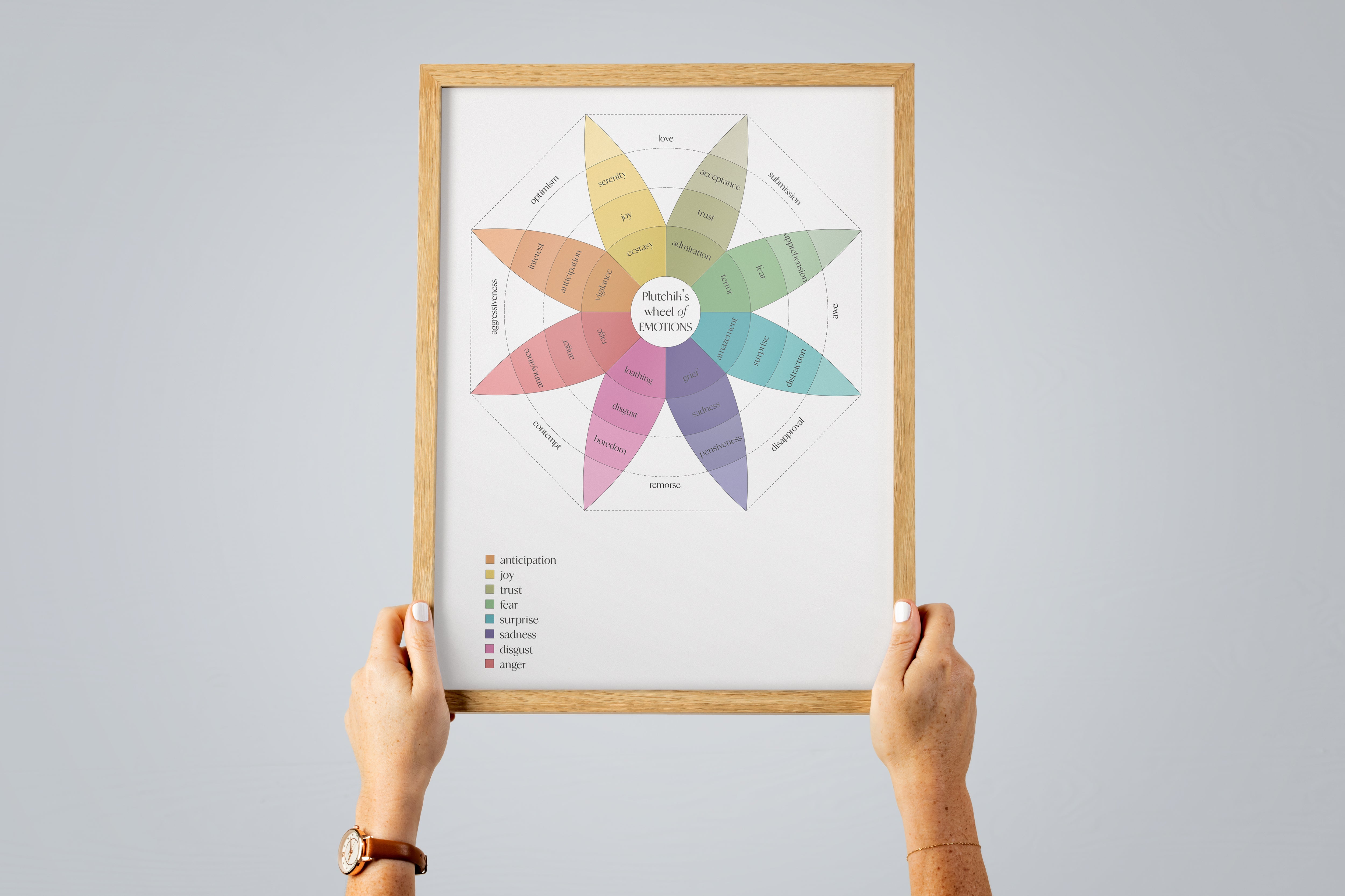 Plutchik’s Wheel of Emotions - Therapy The Poster Square